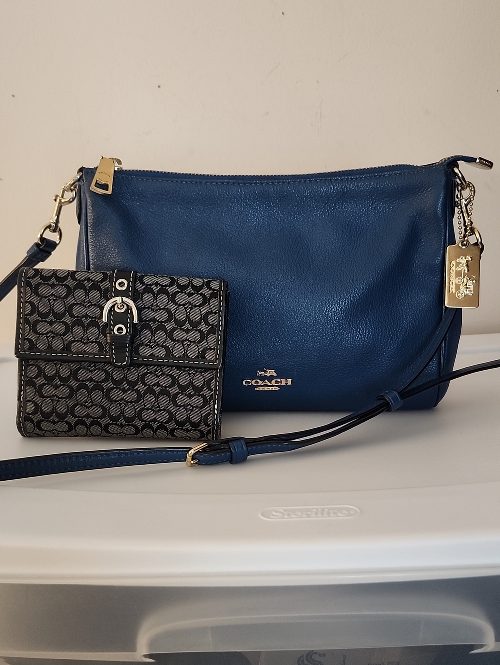 Coach Carrie Leather Crossbody w/Free Coach Signature Wallet